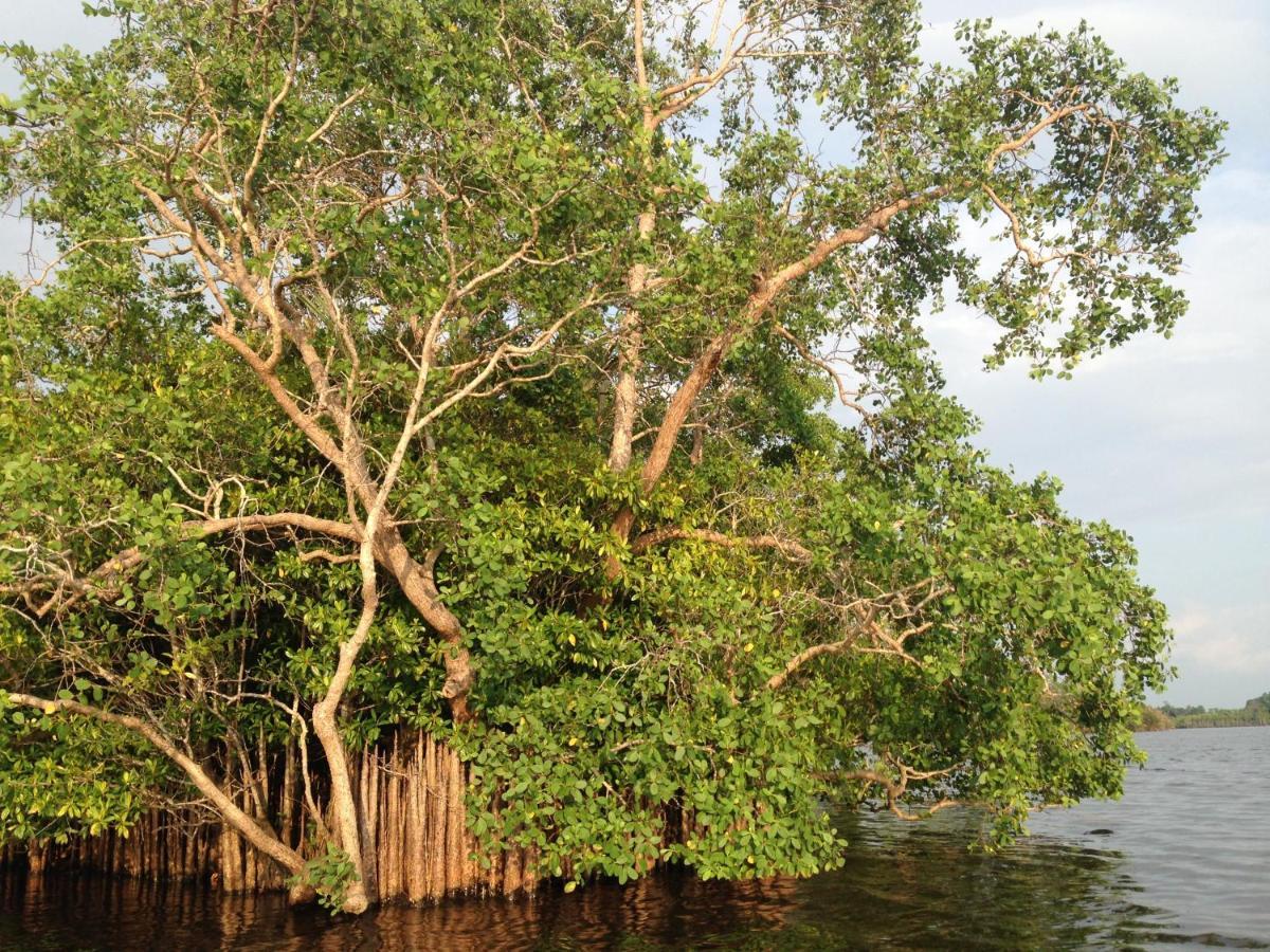 Lake Life Villa Ambalangoda  Bagian luar foto