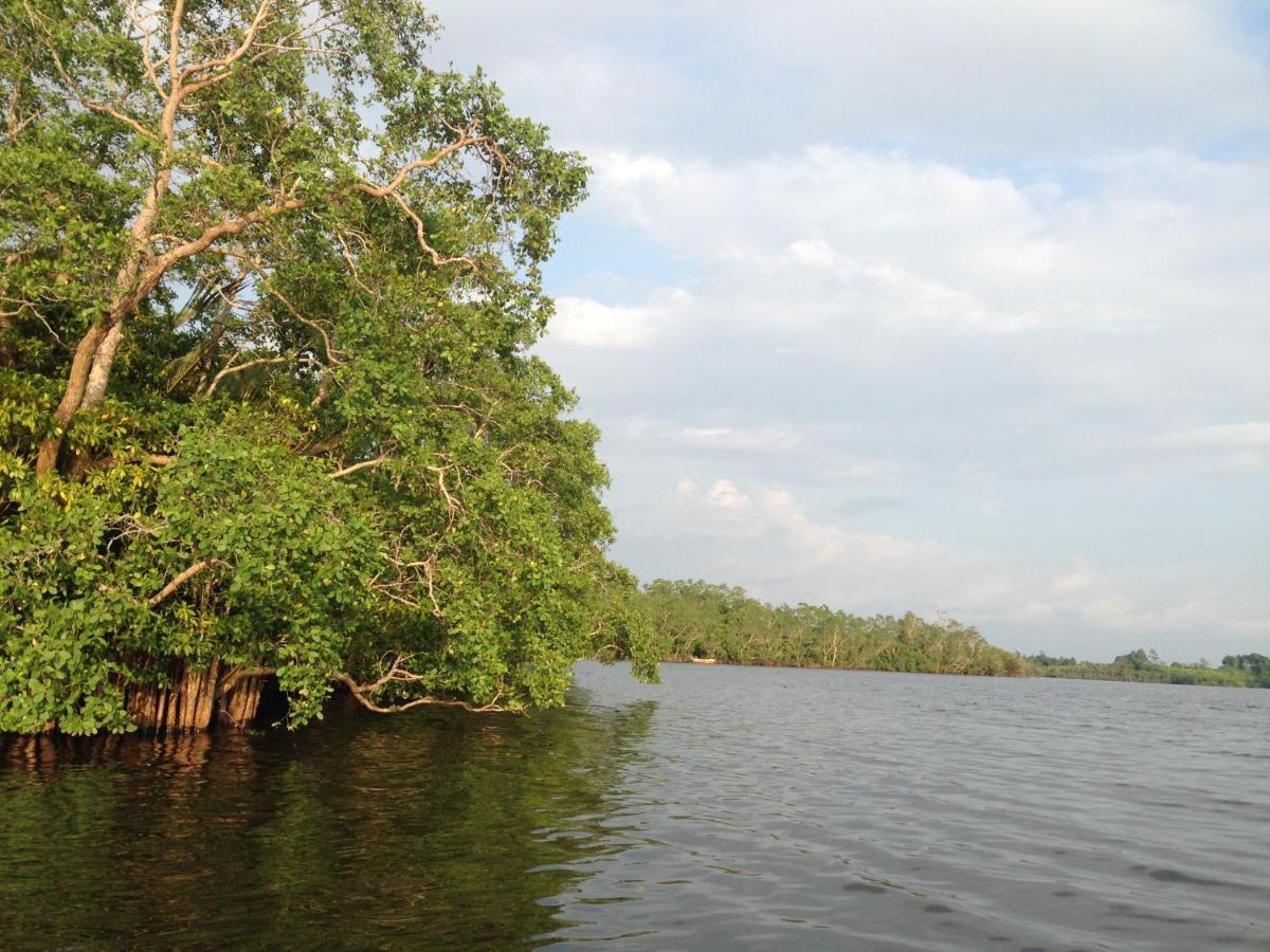 Lake Life Villa Ambalangoda  Bagian luar foto