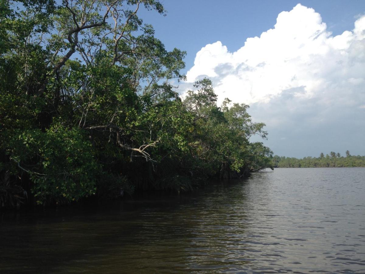 Lake Life Villa Ambalangoda  Bagian luar foto