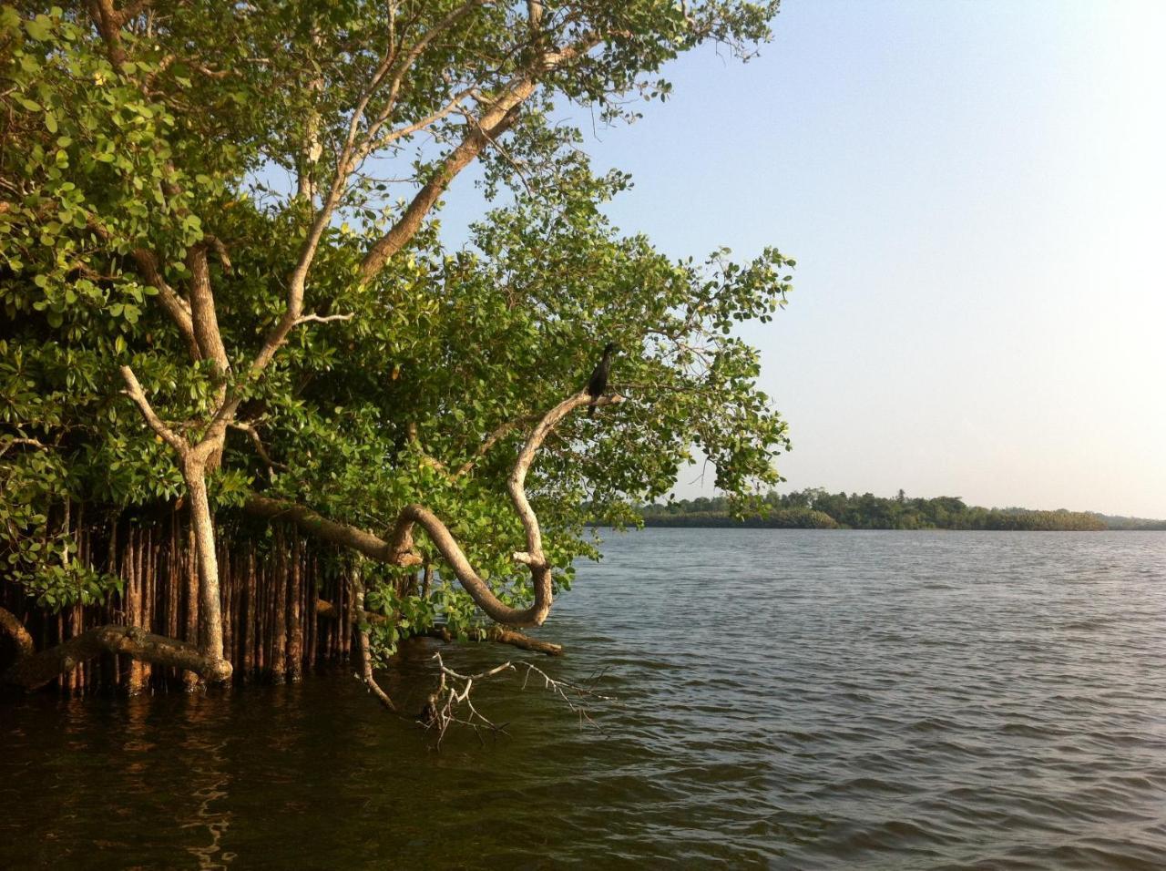 Lake Life Villa Ambalangoda  Bagian luar foto