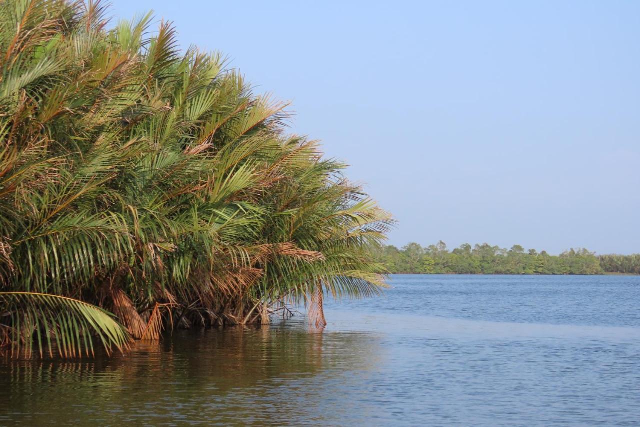 Lake Life Villa Ambalangoda  Bagian luar foto