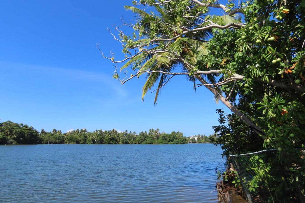 Lake Life Villa Ambalangoda  Bagian luar foto